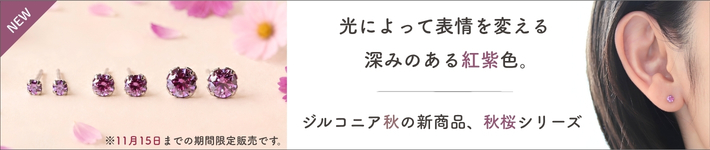 秋の新商品/秋桜シリーズバナー