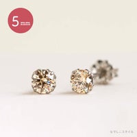 シャンパンダイア５ミリ全体画像